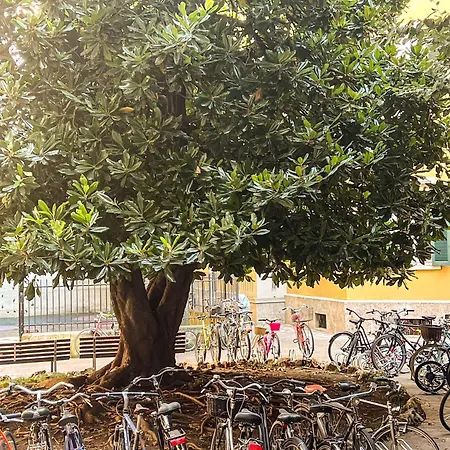 דירה Divini Gae Aulenti מילאנו